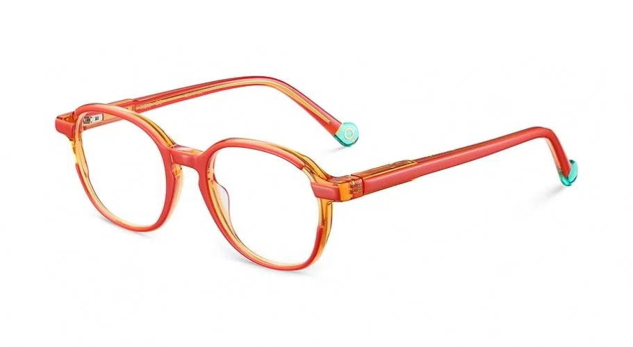 Etnia Barcelona TIBNI Eyeglasses - view 5